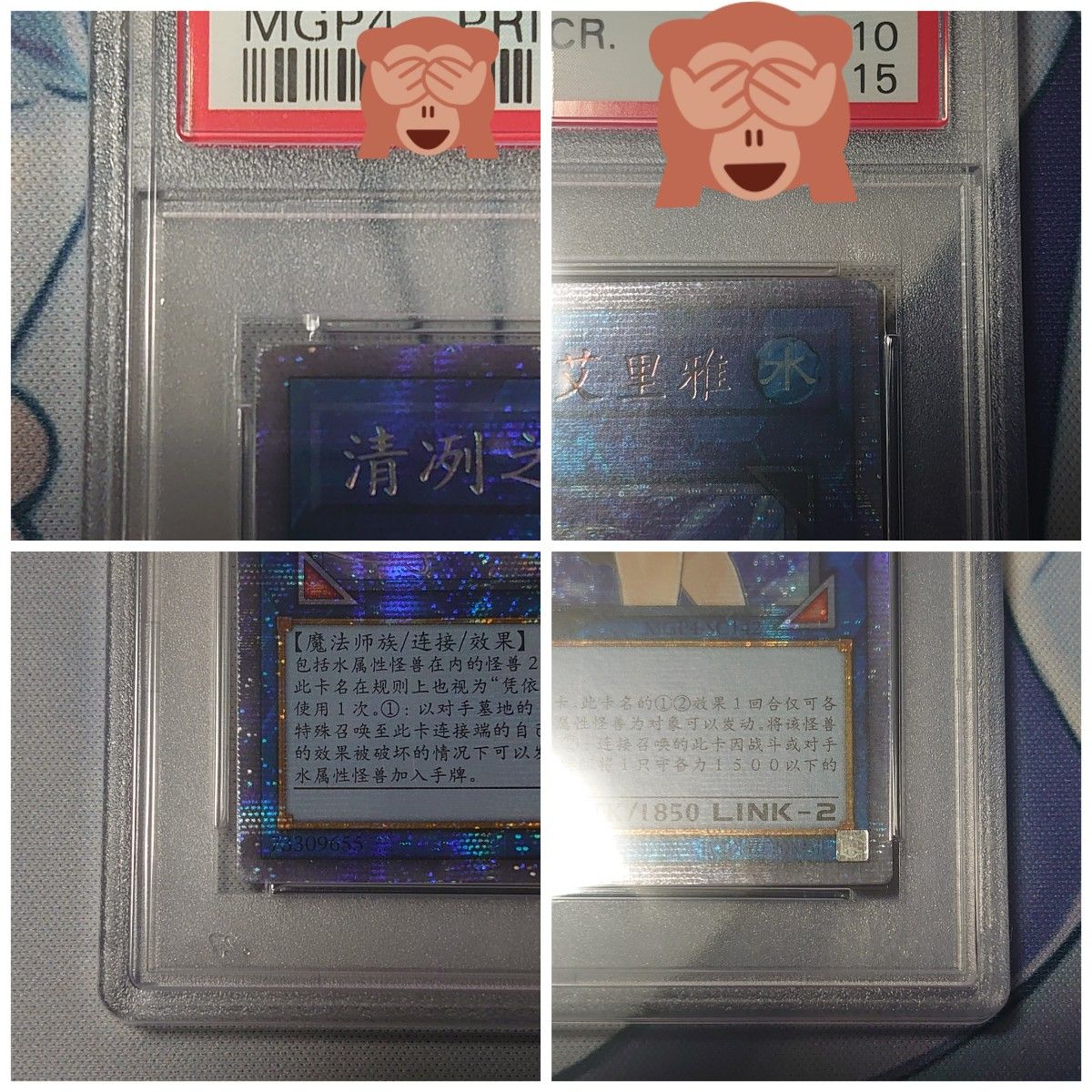 遊戯王 PSA 10 清冽の水霊使い エリア プリシク 中国語-