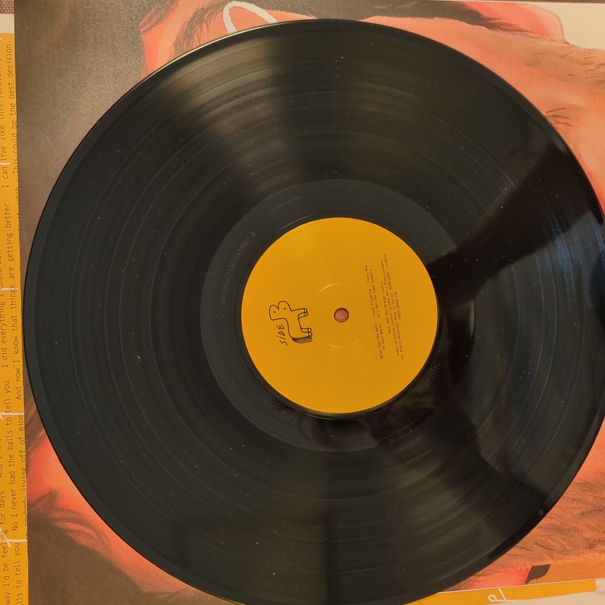 rex orange county pony ポニー analog record レコード LP アナログ vinyl_画像5