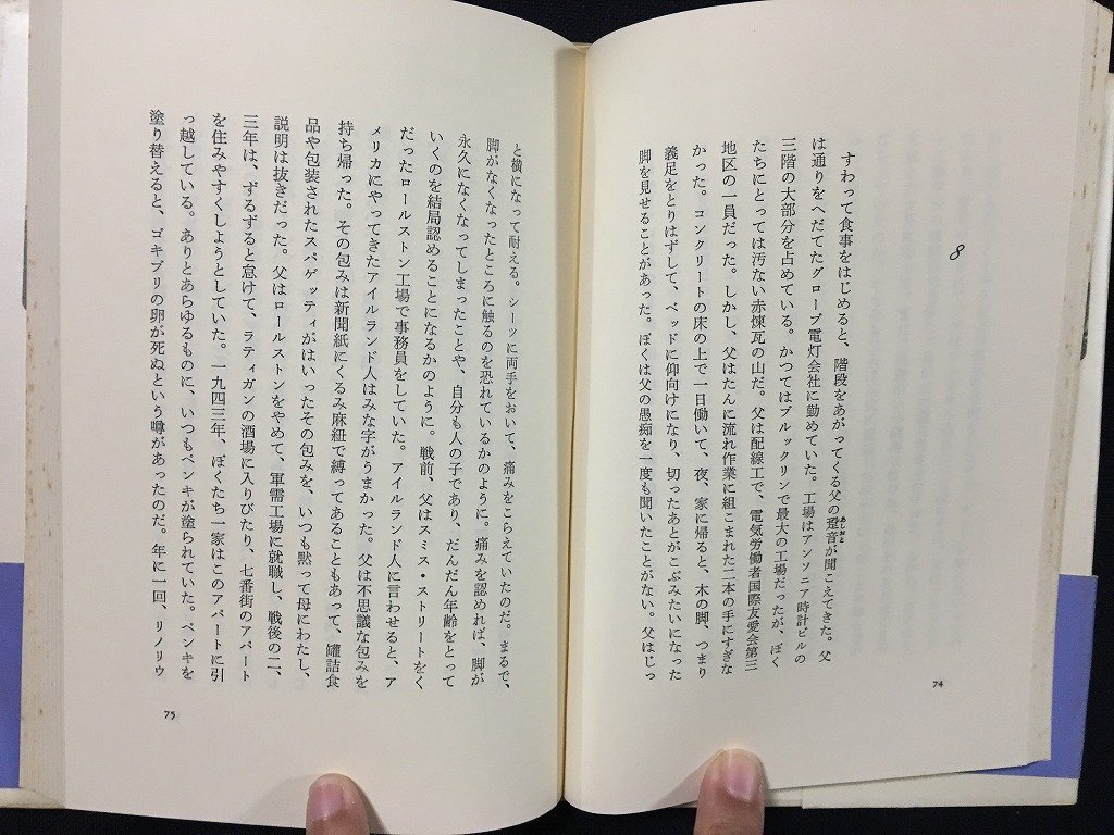 ｗ◎　ブルックリン物語　著＝ピート・ハミル　訳＝常盤新平　1983年初版第1刷　筑摩書房　/B06_画像3