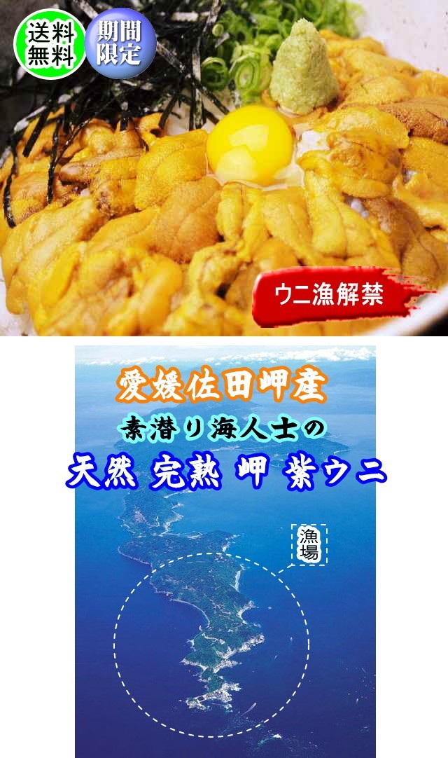  raw sea urchin board sea urchin with translation 60g1 sheets Ehime natural purple sea urchin red sea urchin element .. sea . free shipping Hokkaido / Okinawa / Tohoku is postage separately . from direct delivery . peace sea. . wholesale store 