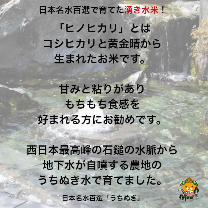 ヒノヒカリ 玄米15kg/白米13.5kg 2023年産 うちぬきで育てた清流米 百姓直送 送料無料 北海道/沖縄/東北は別途送料 宇和海の幸問屋_画像4