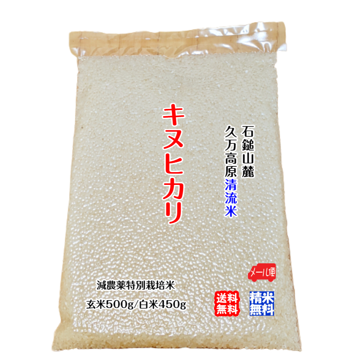 キヌヒカリ 玄米500g/白米450g 2023年産 石鎚山麓 久万高原 清流米 減農薬 特別栽培米 百姓直送 メール便 送料無料_画像1