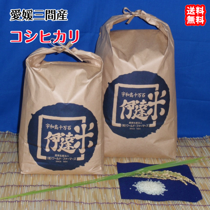 コシヒカリ 白米 5kg 2023年産 愛媛 三間産 伊達米 減農薬 特別栽培米 百姓直送 送料無料 宇和海の幸問屋_画像1