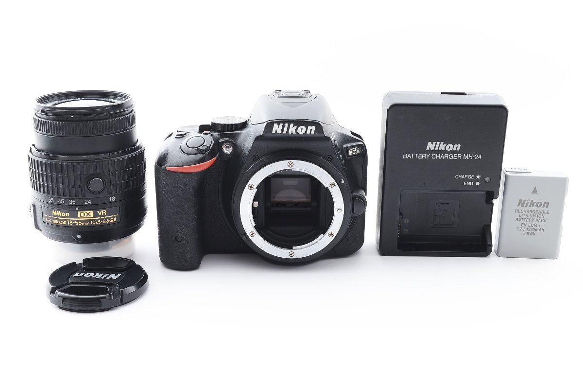 □ 美品・ショット数8313 □ ニコン Nikon D5500 + AF-S DX 18-55mm F3