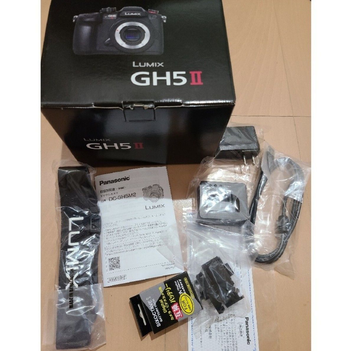 LUMIX DC-GH5M2 〈極上美品〉※元箱付き ショット数479回 パナソニック Panasonic ルミックス ボディ