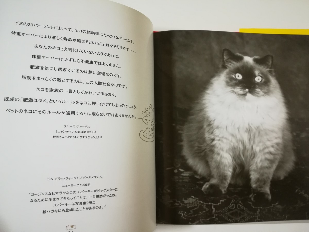 中古本　ファット・キャッツ―デブねこっち　かわいいデブねこ写真集　でぶ猫_画像4