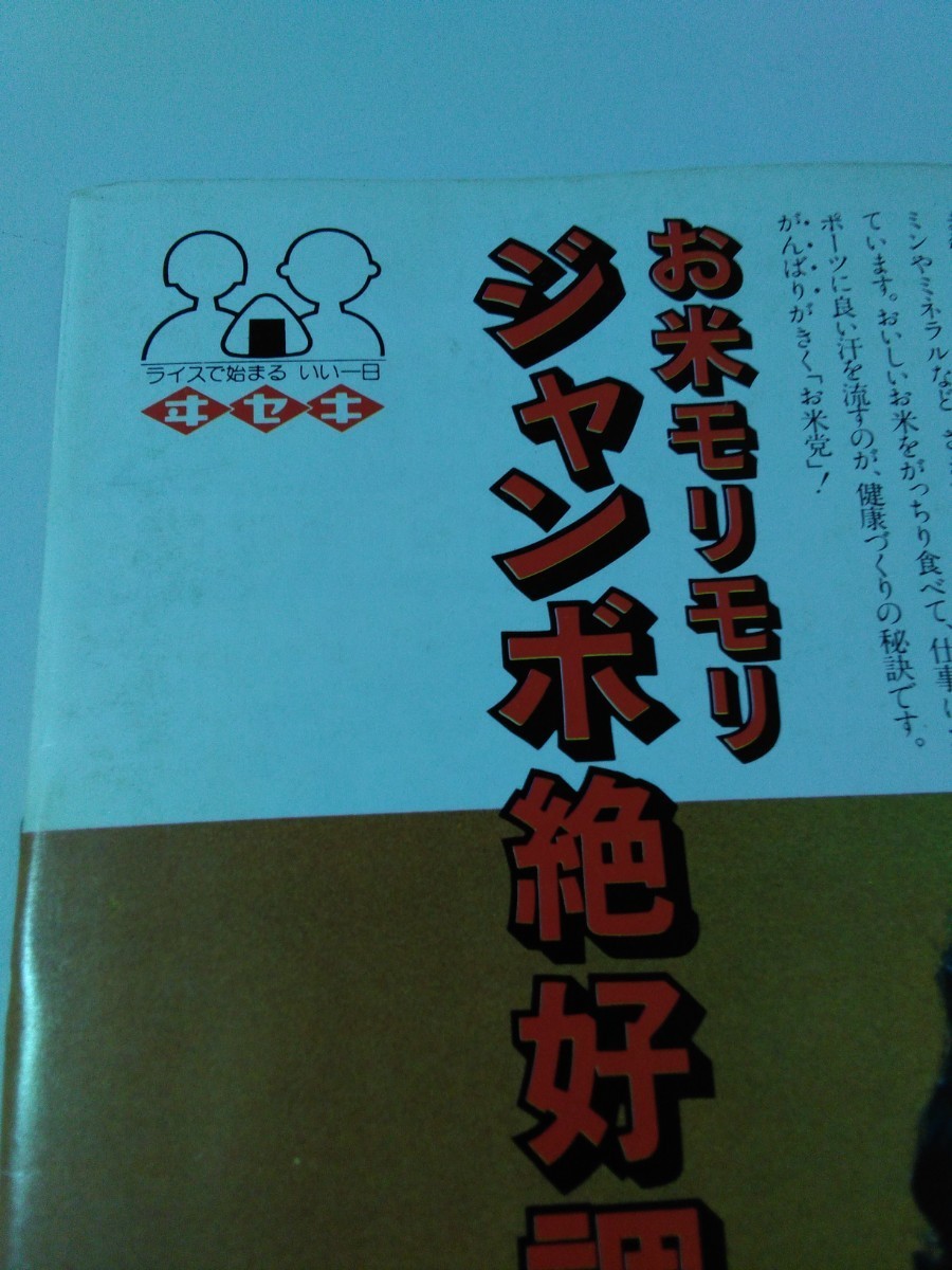 中古 パンフレット　全日本プロレス　80 第2次サマーアクションシリーズ ミル・マスカラス　ドス・カラス ハリー・レイス レイ・キャンディ_画像9