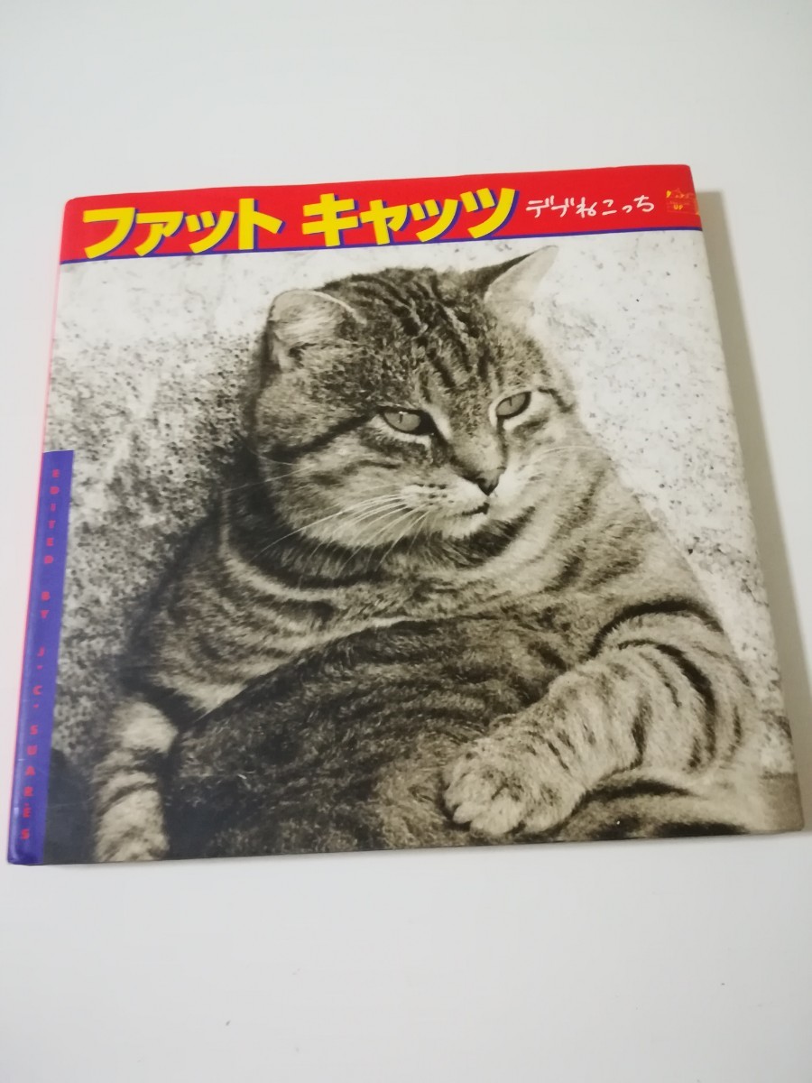 中古本　ファット・キャッツ―デブねこっち　かわいいデブねこ写真集　でぶ猫_画像1