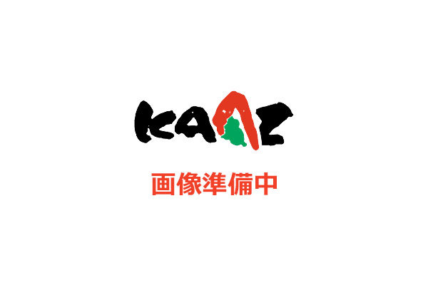 KAAZ カーツ LSD 補修パーツ ギヤCP 5TH-DR 78012-167