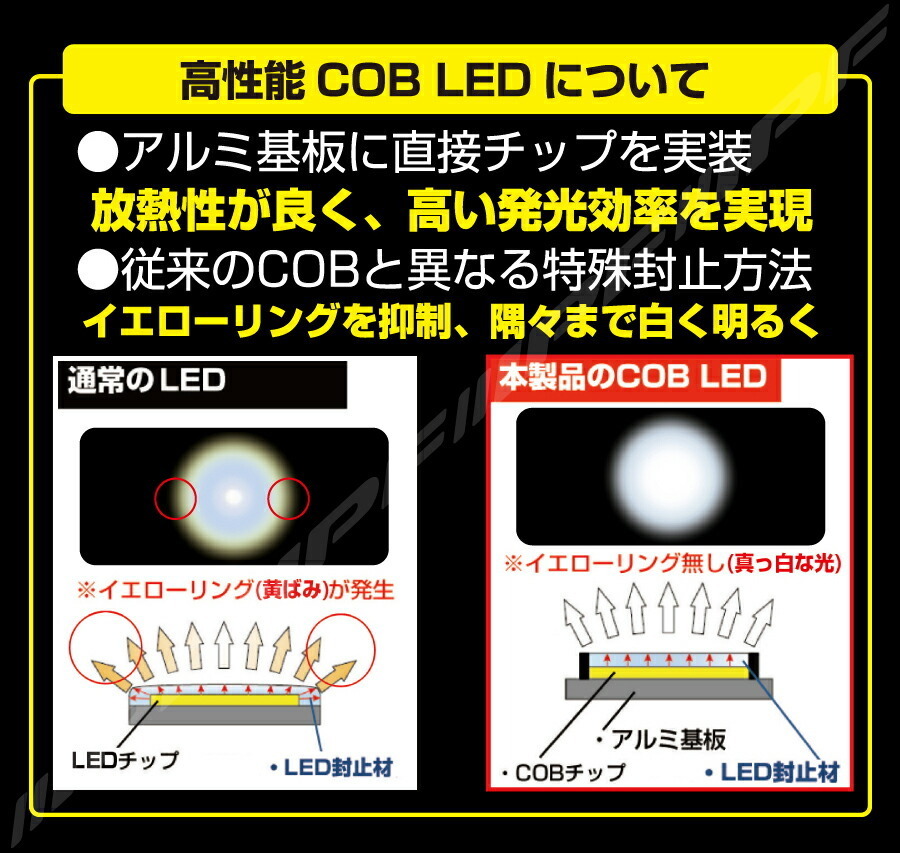 IPF COB LEDルームランプ T10ｘ31/T8x29(28)共通型 6000K_画像3