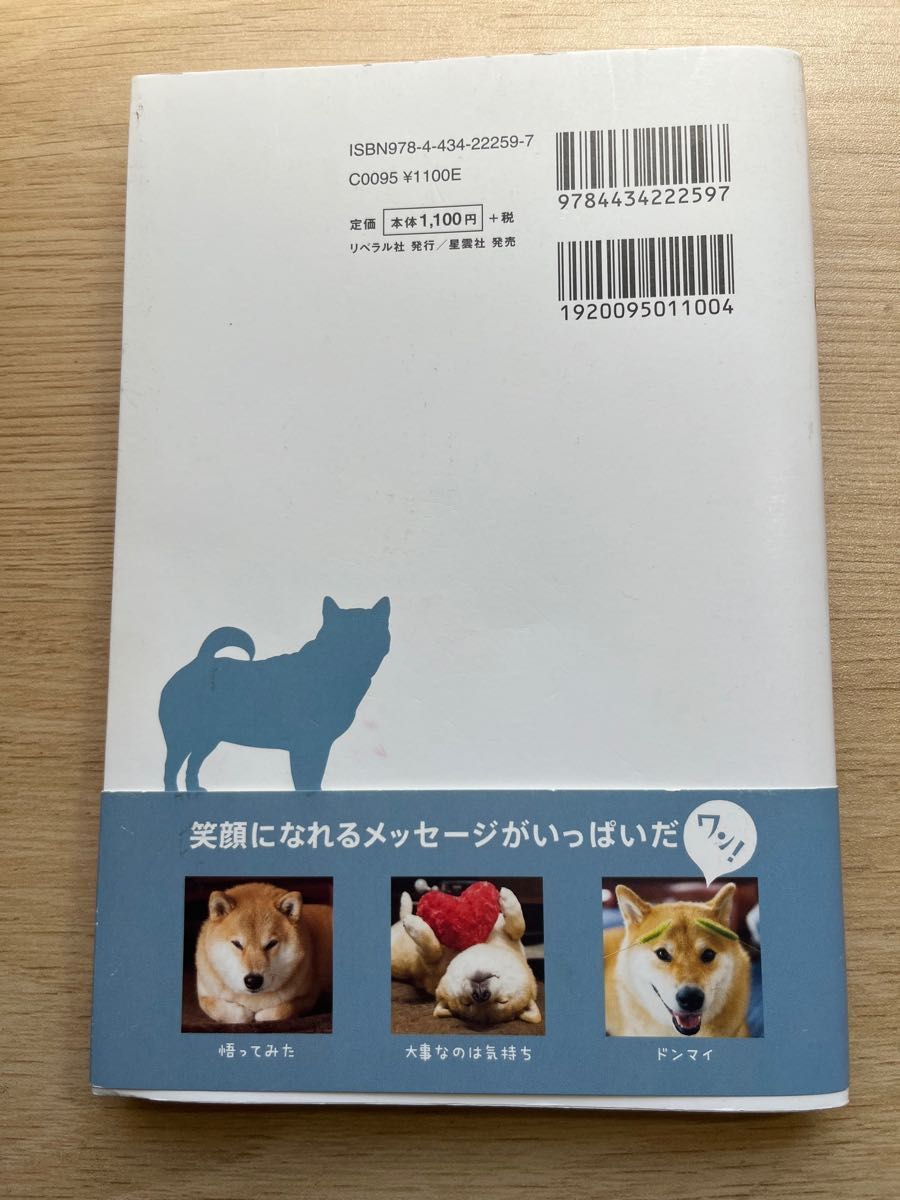 柴犬まるのワン若心経 菅原こころ／文　加藤朝胤／監修　小野慎二郎／写真