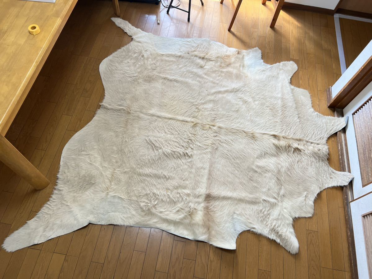 1円スタート】白熊 毛皮 カーペット約210×210cm 本革 シロクマ 1円スタート】白熊 毛皮 カーペット約210×210cm 本革 シロクマ