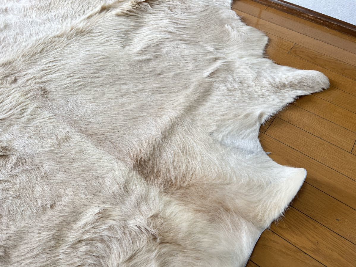 1円スタート】白熊 毛皮 カーペット約210×210cm 本革 シロクマ 1円スタート】白熊 毛皮 カーペット約210×210cm 本革 シロクマ