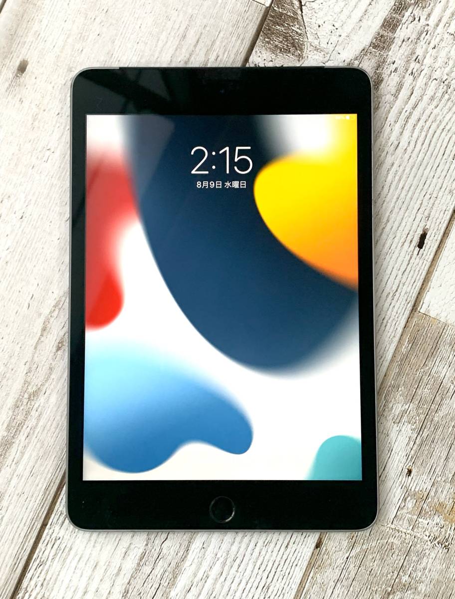 iPad Mini 4 16GB Wi-Fi Cellular Simフリー-