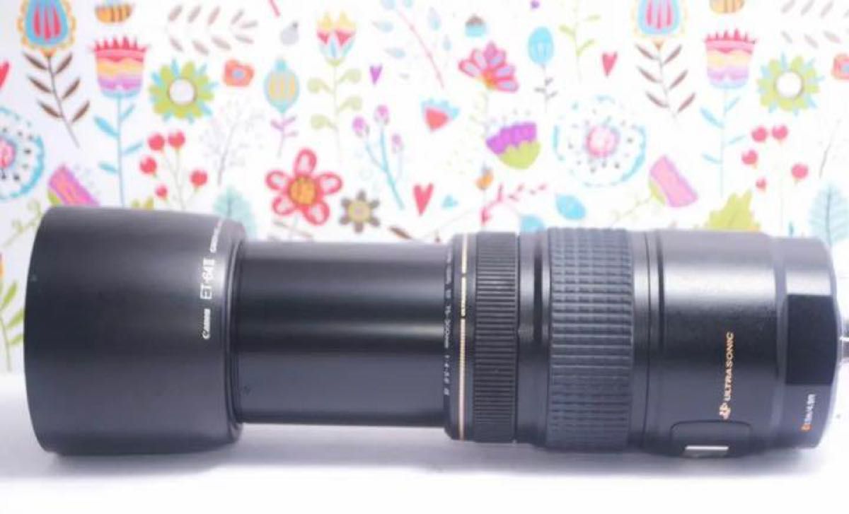 キヤノン EF 75-300mm 手振れ補正付き望遠レンズ|Yahoo!フリマ(旧