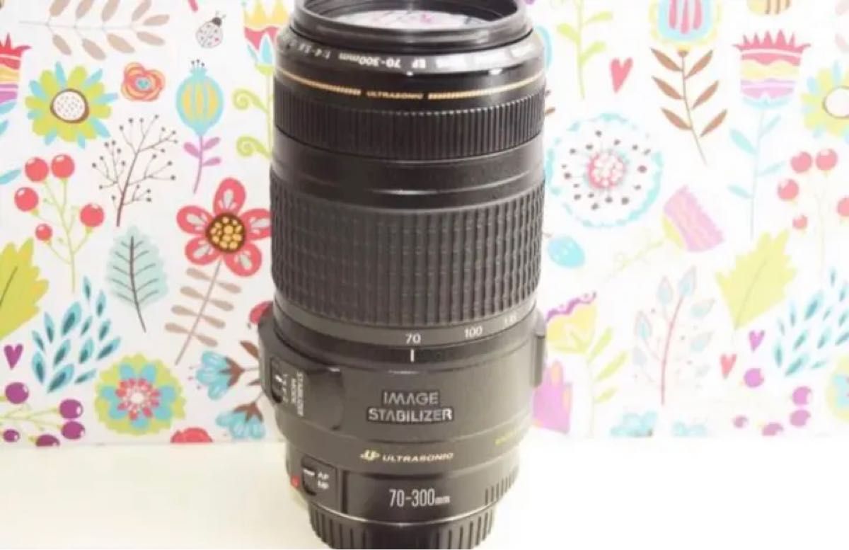 極美品 Canon EF 70-300mm F4-5 6 IS USM|Yahoo!フリマ(旧PayPayフリマ)