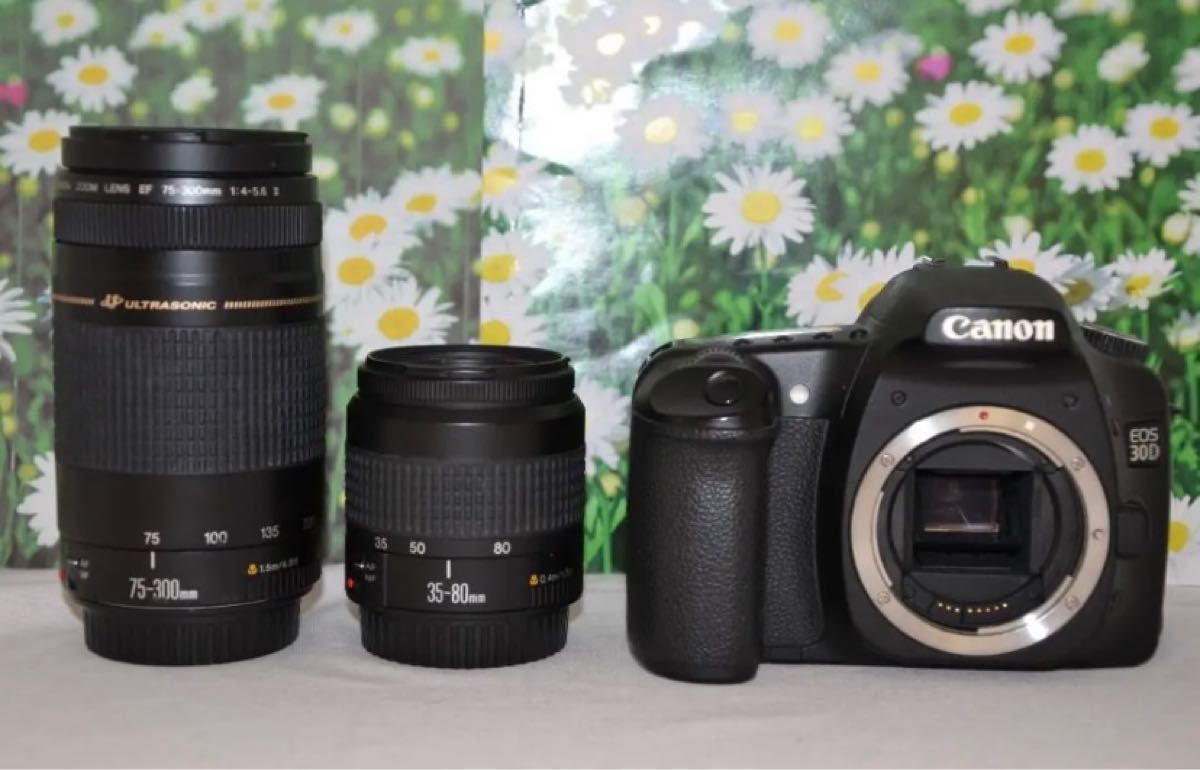 Canon Eos 30Dキャノン デジタル一眼レフダブルレンズ望遠 Yahoo