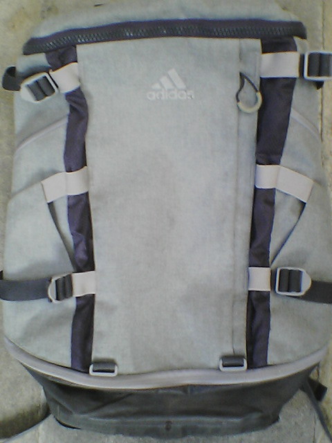 [adidas] Adidas рюкзак рюкзак Day Pack сумка портфель портфель серый *climacool