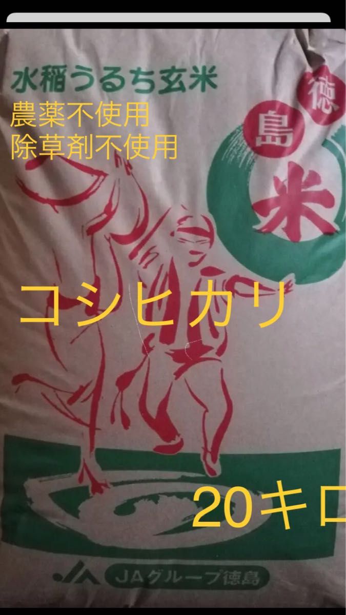 令和5年新米コシヒカリ 農薬不使用 玄米20キロ - 通販 - hanackenovinky.cz