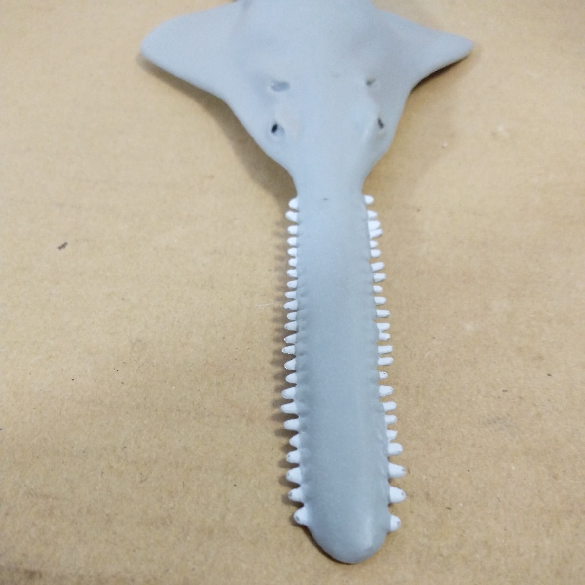 ノコギリエイ sawfish PVCフィギュア Safari サファリ社 全長約26㎝ 中国製 未チェック 詳細不明 ジャンク扱い_画像8