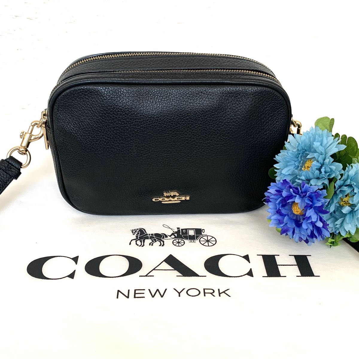 極美品 COACH コーチ ショルダーバッグ カメラバッグ ダブルジップ