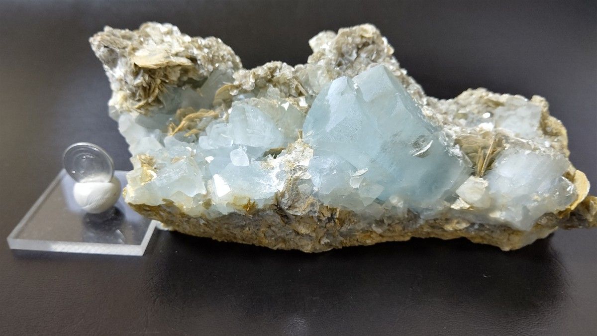 【38Ct】パキスタン シガーバレー産 アクアマリン モスコバイト共生 鉱物標本 パキスタン産アクアマリン＆モスコバイト (Aquamarine