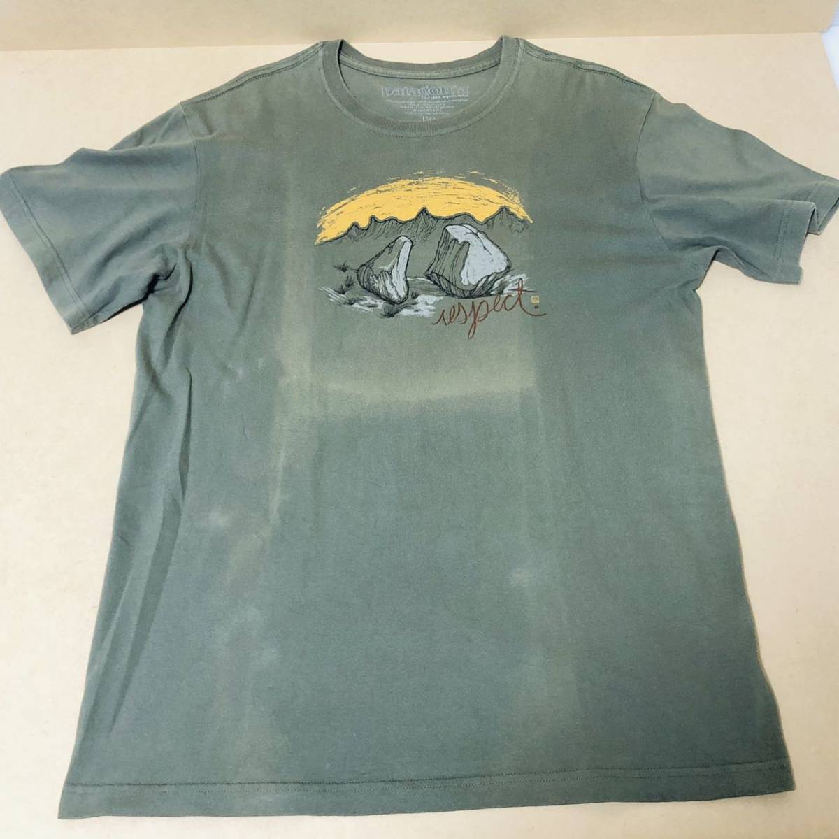 Patagonia ヴィンテージTシャツ パタゴニアキツツキきつつき啄木鳥Patagonia vintage T-shirt パタゴニアヴィンテージTシャツ USA製