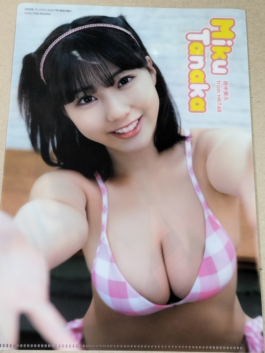 K240 HKT48 田中美久 両面クリアファイル ヤングアニマル_画像2