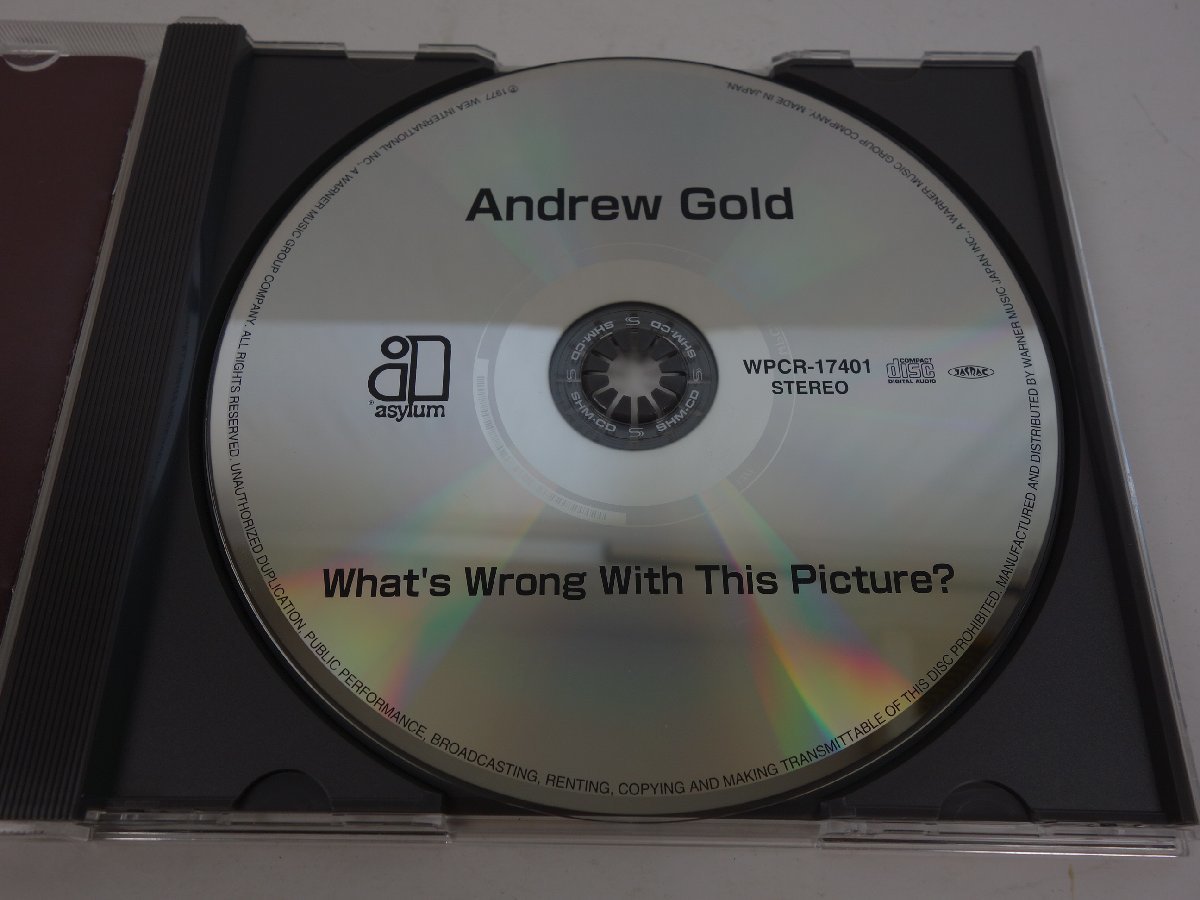 CD ANDREW GOLD アンドリュー・ゴールド WHAT'S WRONG WITH THIS PICTURE? WPCR-17401_画像5