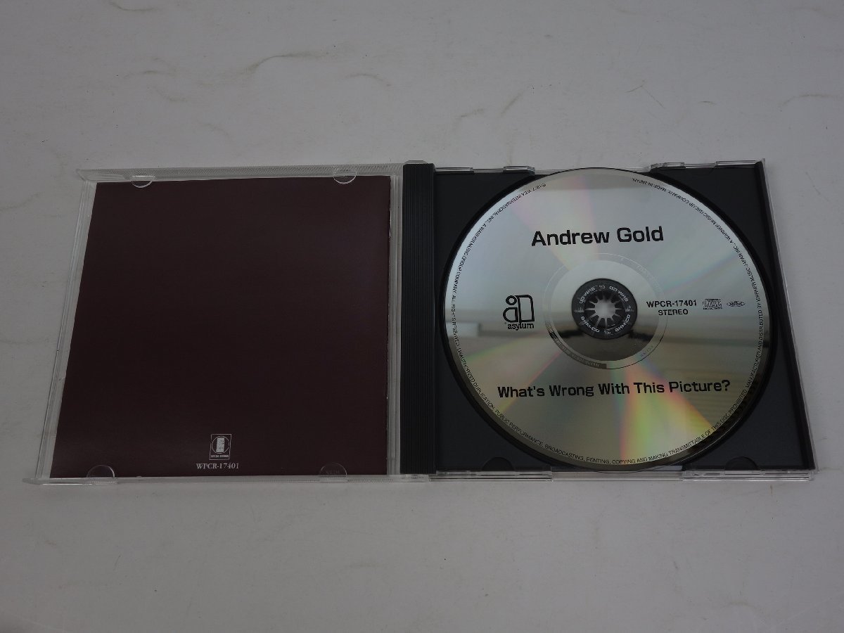 CD ANDREW GOLD アンドリュー・ゴールド WHAT'S WRONG WITH THIS PICTURE? WPCR-17401_画像4