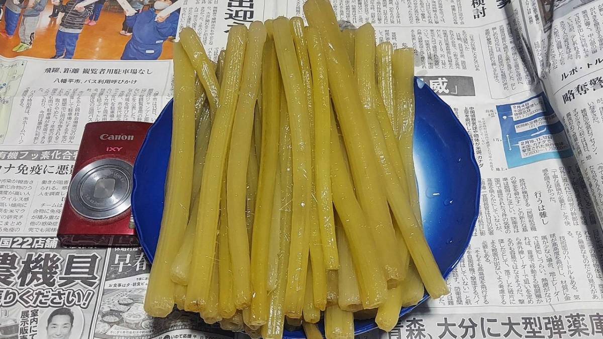 岩手産令和5年産天然深山の水フキの塩漬け1キロ(大小混在) Ⅱ お盆前