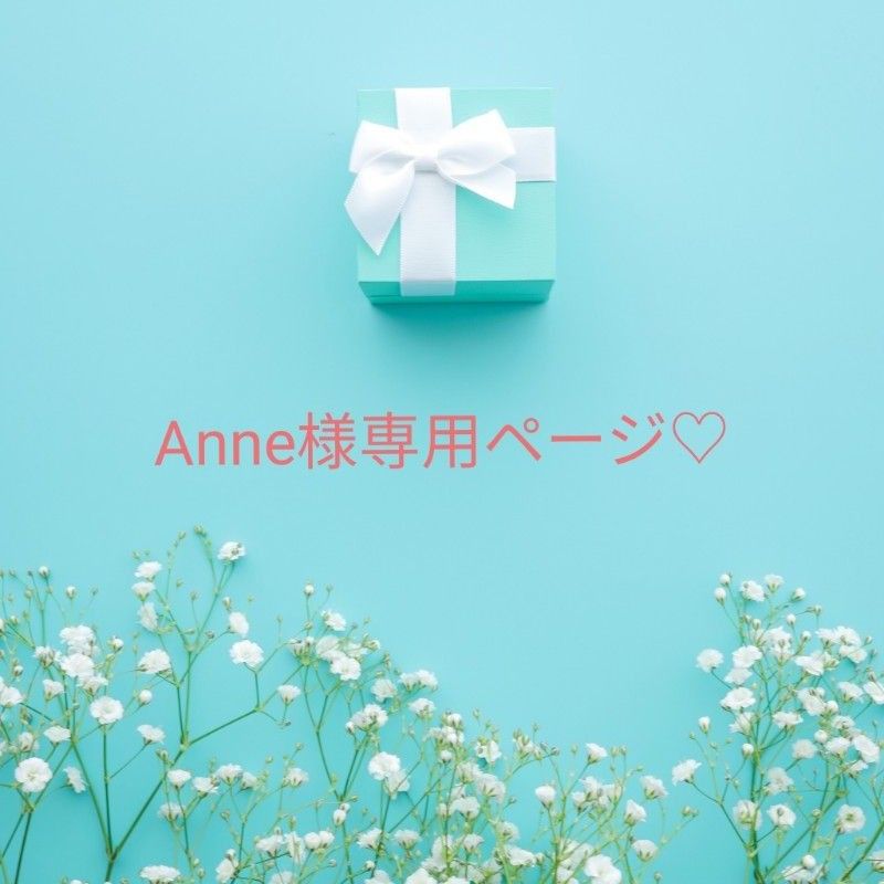 anne様専用 - アクセサリー