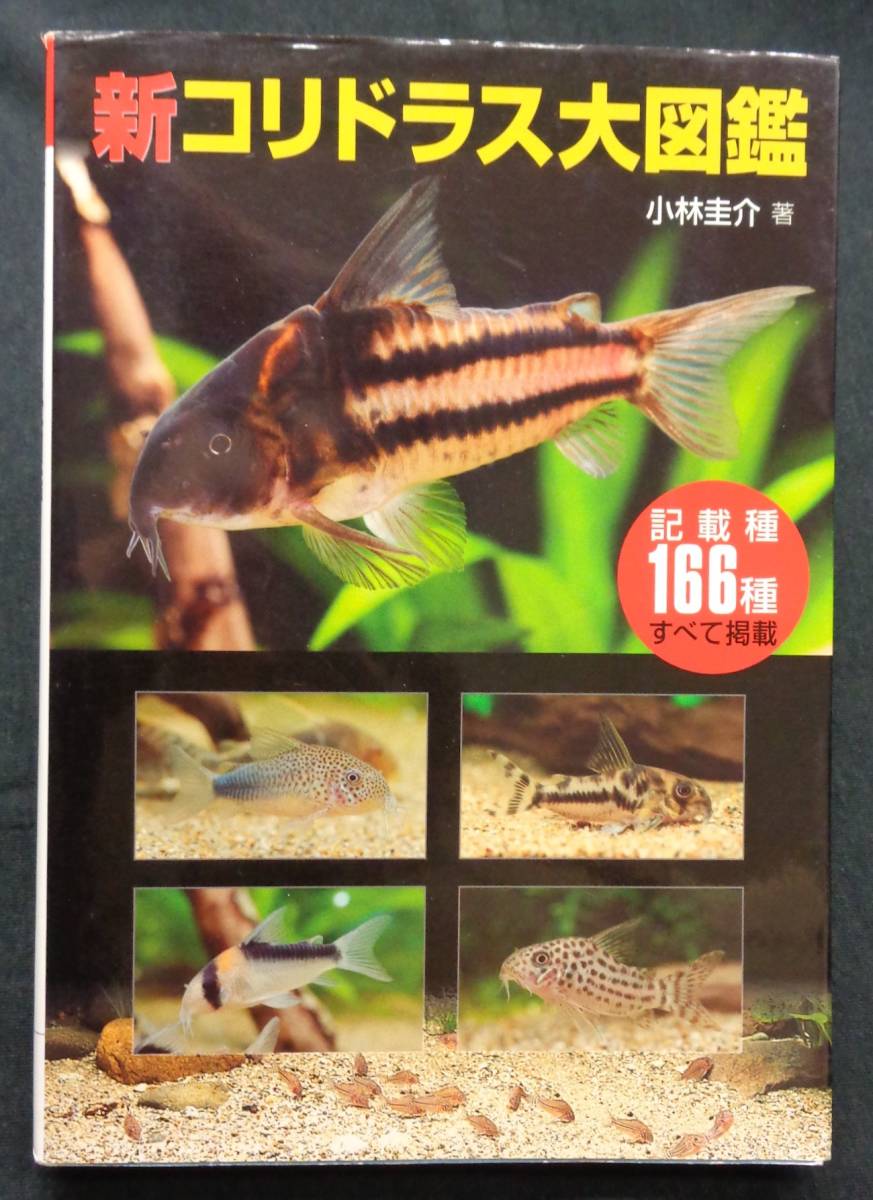 【 新コリドラス大図鑑 】小林圭介 記載種166種すべて掲載 エムピージェー アクアライフの本_画像1