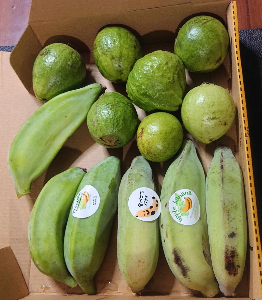 初セット！沖縄本島産グァバ、島バナナ、アイスクリームバナナセット！