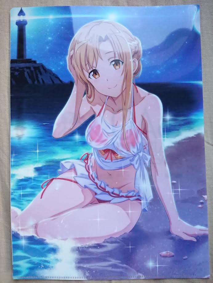  Sword Art * online SAO game .. meeting 2023. place person privilege clear file asna