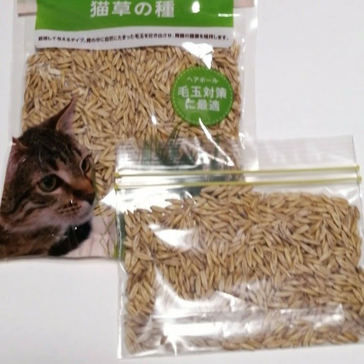 猫草の種　50g　有効期限2025.07 　発芽率９０％以上　犬猫の草　エン麦