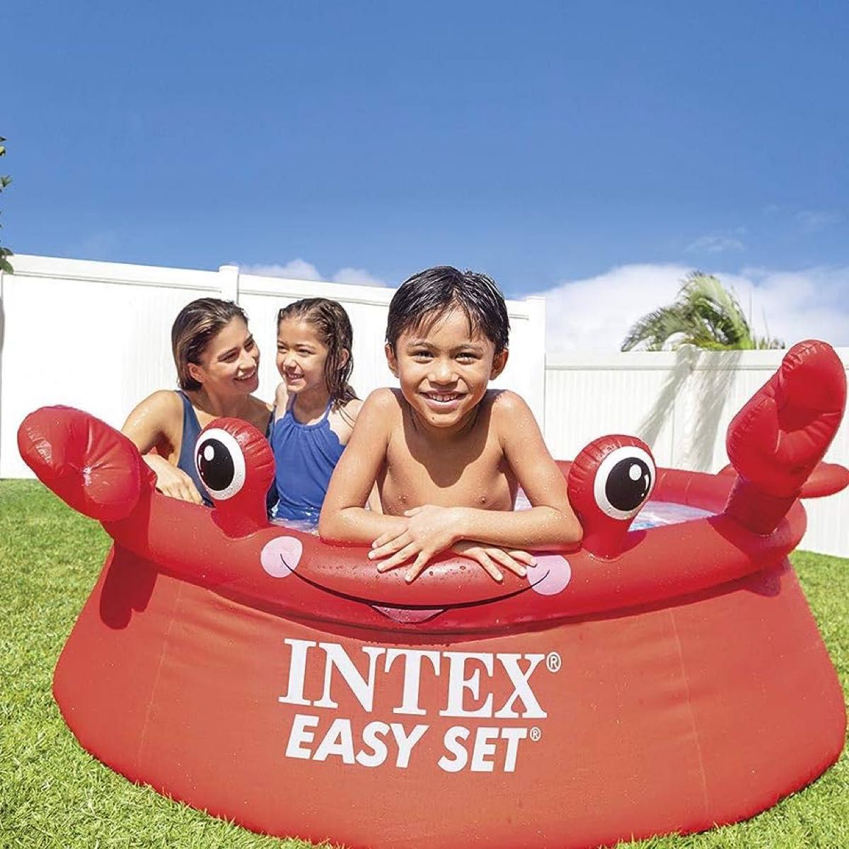 INTEX(インテックス) 大型プール  【日本正規品】 26100 レッド