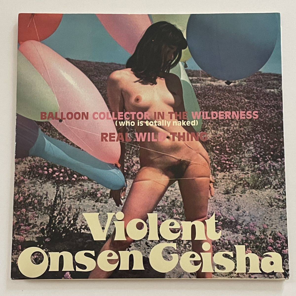 中原昌也 暴力温泉芸者 / BALLOON COLLECTOR IN THE WILDERNESS / レコード HAIR STYLISTICS Violent Onsen Geisha