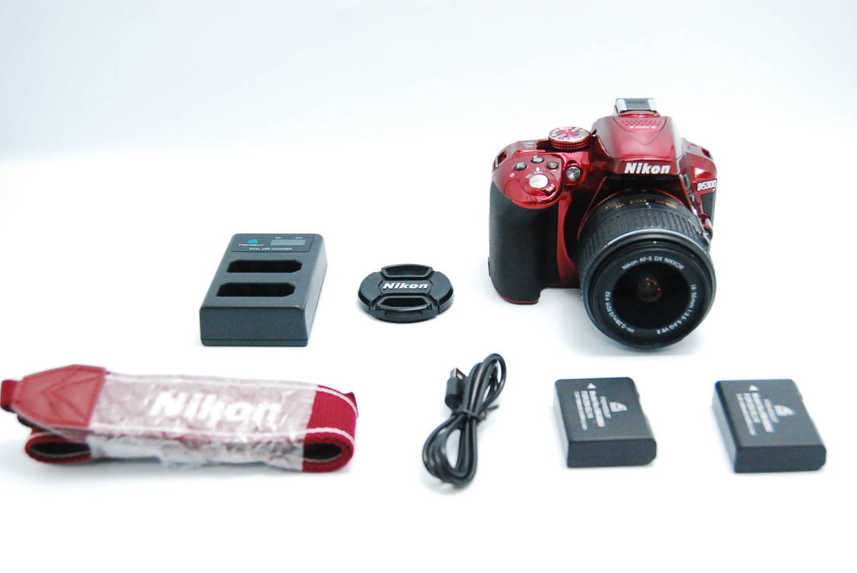 お歳暮 II VR 18-55mm D5300 デジタル一眼レフカメラ Nikon #B11