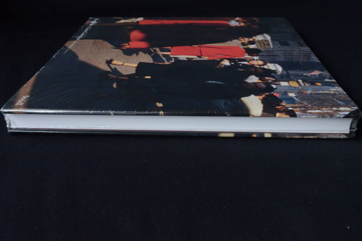 【Ernst Haas :Color Correction】Ernst Haas/エルンスト・ハース写真集　２０１６年　未開封シュウリンク包装_画像7