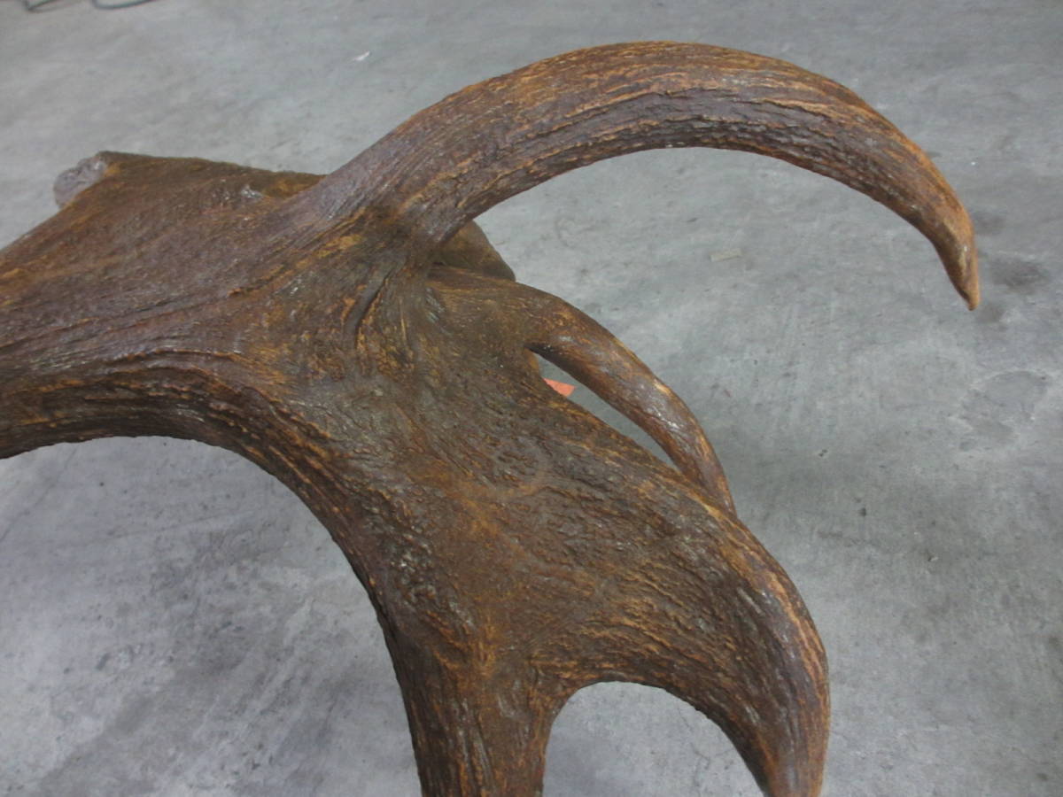 巨大 特大サイズ ヘラジカの角 130cm超 13kg エルク ムース 箆鹿 巨大 特大サイズ ヘラジカの角 130cm超 13kg エルク ムース 箆鹿