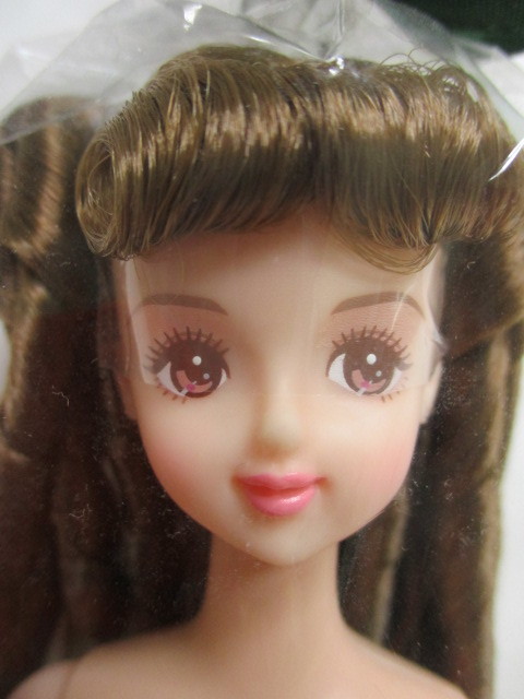 とっておきし福袋 星澤奈々子 新品 DXデラックス お楽しみドール ESC