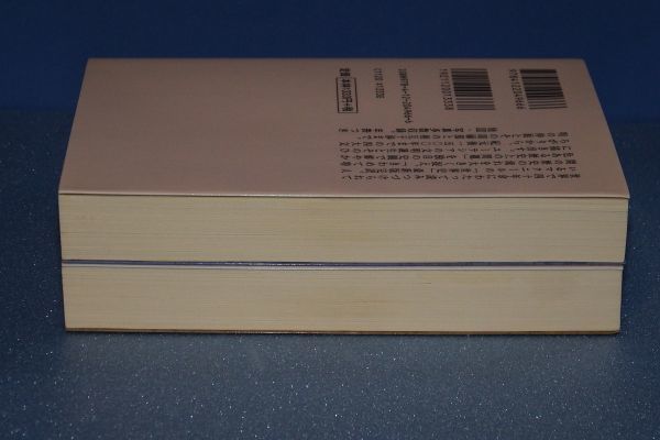 〇 世界史 上下2巻　ウィリアム・マクニール　中公文庫　A001P42_画像2