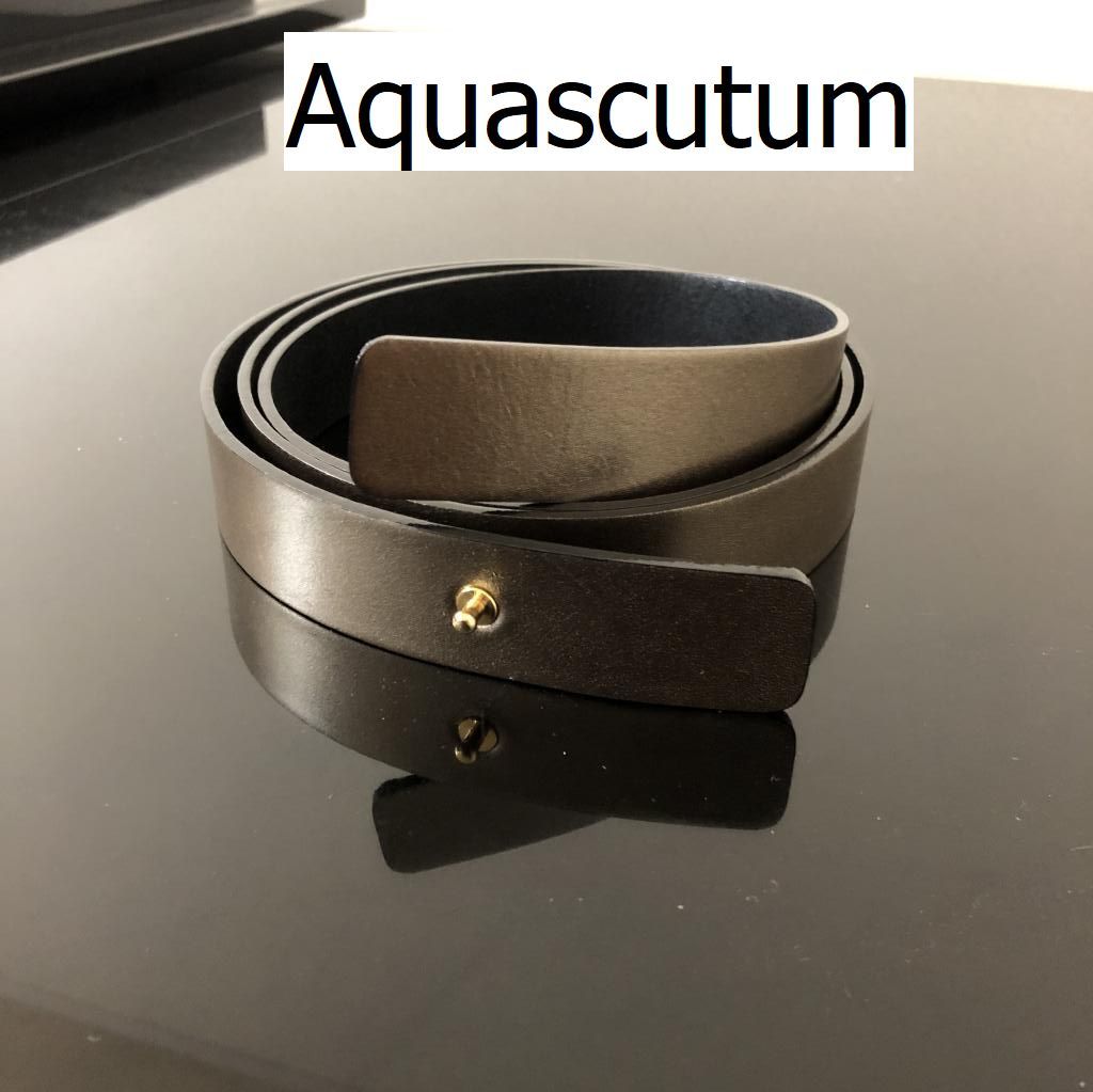 Aquascutum【アクアスキュータム】レディース　ベルト　メタリック　スラッシュベルト_画像1