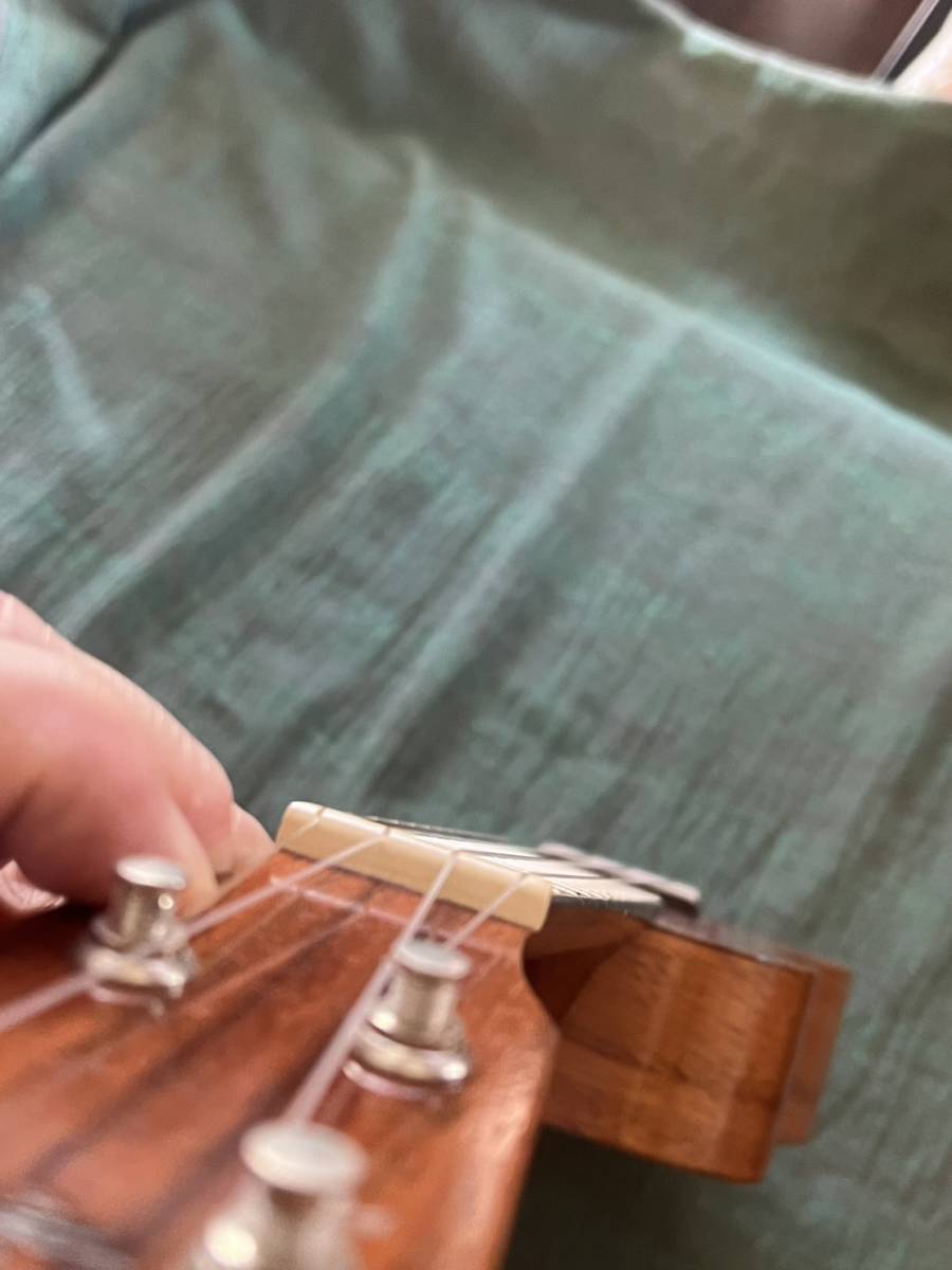 Sản phẩm G String ジーストリング Halawa Valley. Hawaii【現状品