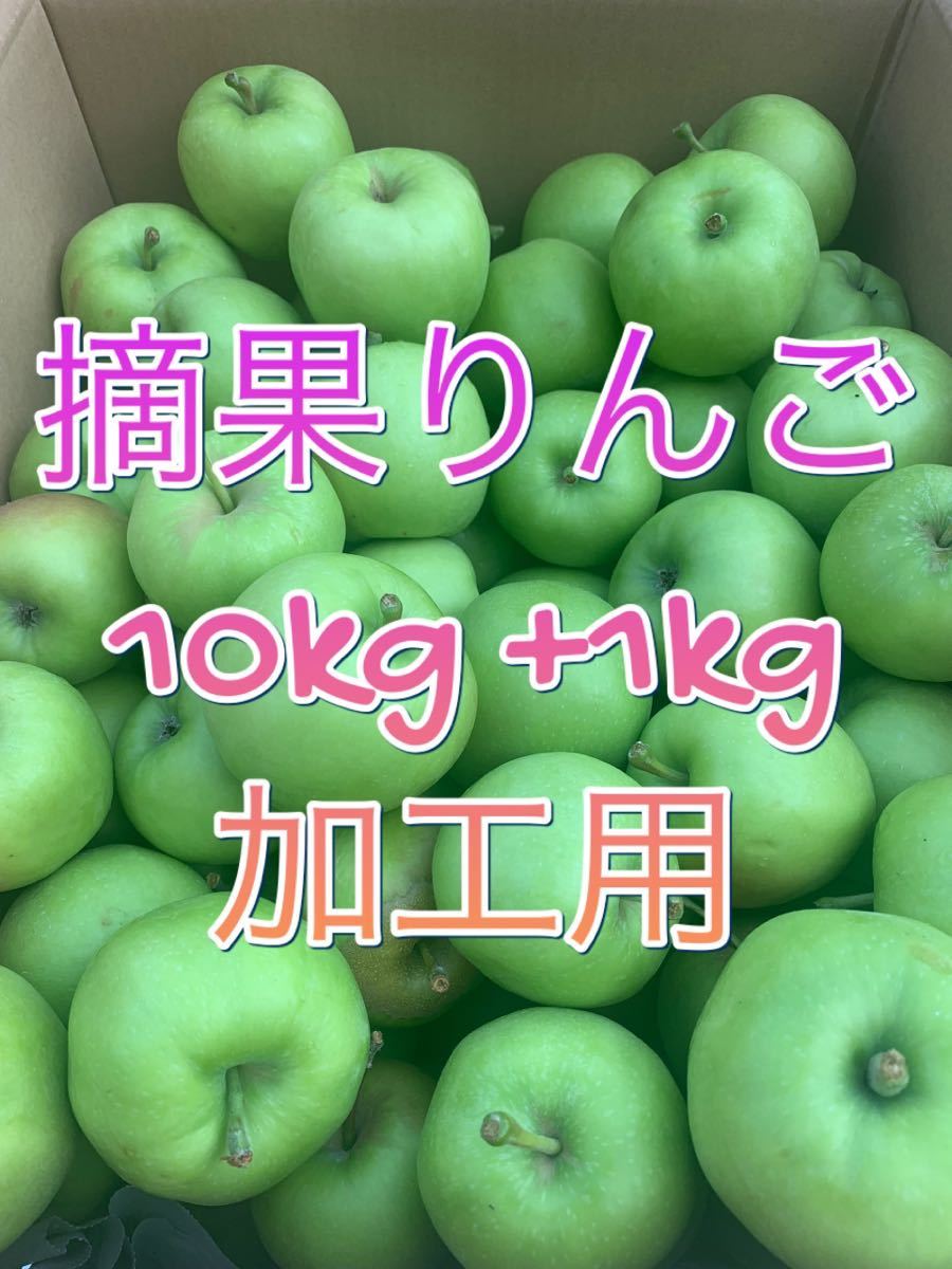 摘果りんご 10kg+1kg 加工用｜PayPayフリマ