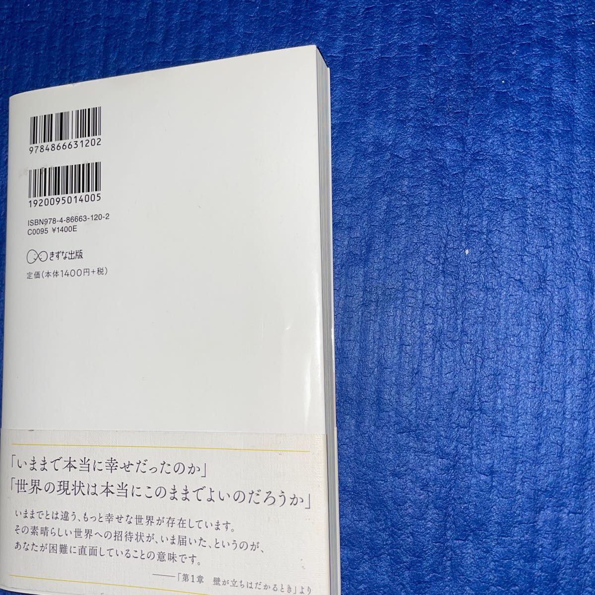 並木良和　だいじょうぶちゃんと乗り越えていける