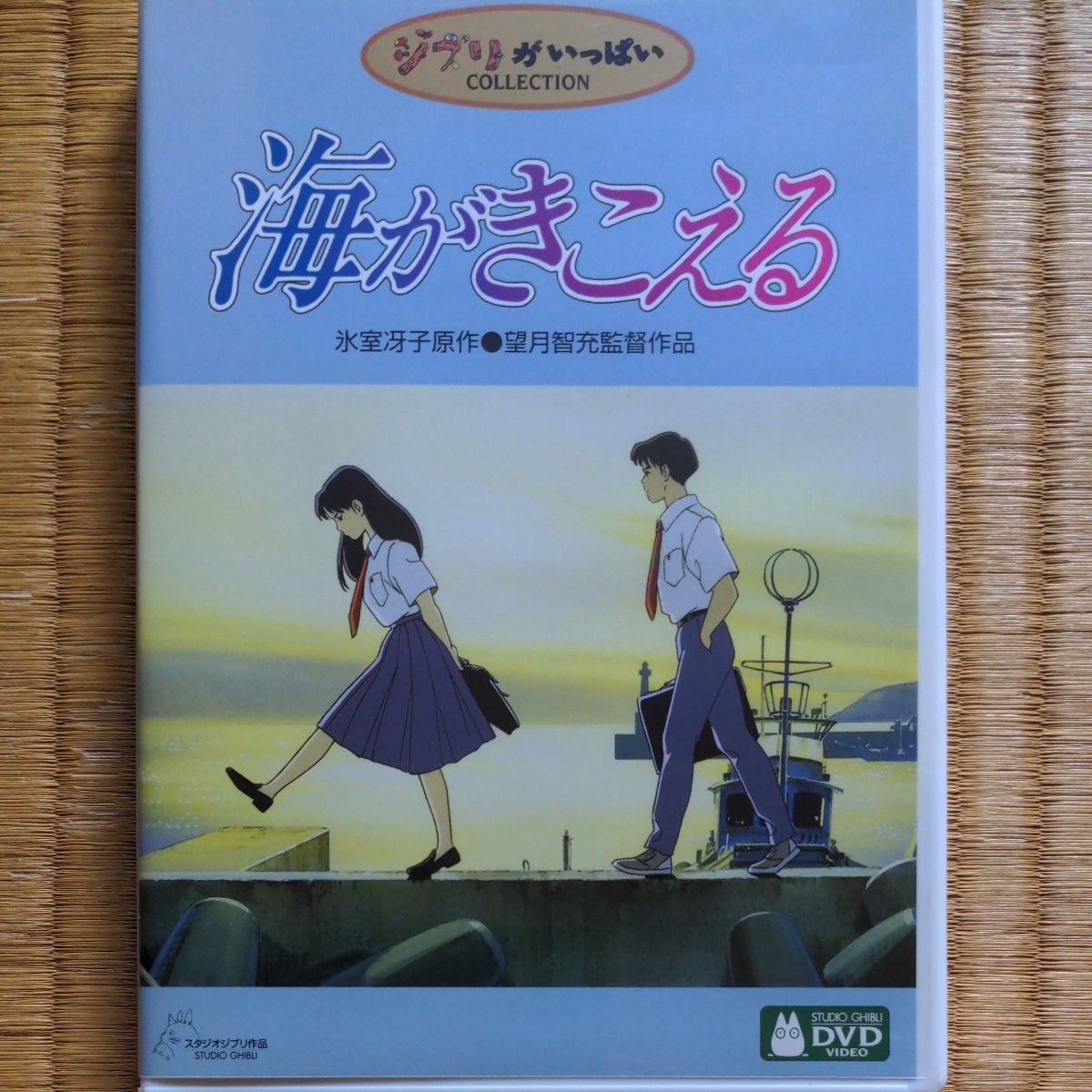 海がきこえる [DVD]　本編ディスクのみ　新品ケース