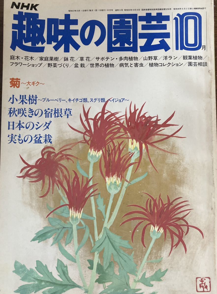 昭和57年１０月号　　趣味の園芸_画像1