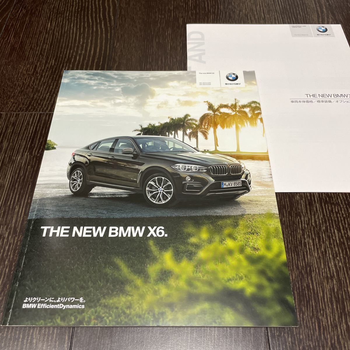 【即決】BMW X6 (F16) 2014年 9月 カタログ& 価格表 / 標準装備 / オプション装備 / ALPINA アルピナ xDrive35i 50i Mスポーツ_画像1